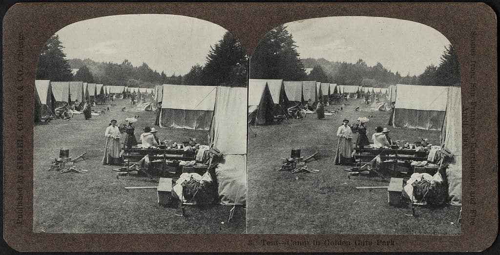 A tent pitched among trees at a campground